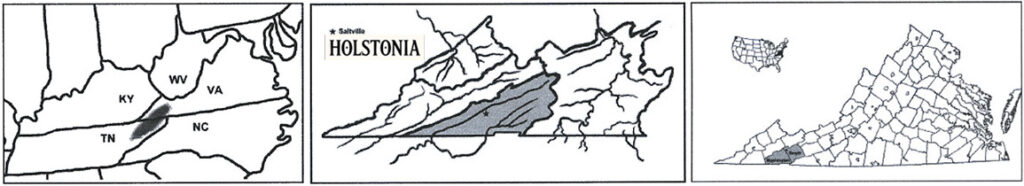 Three regional maps showing the Holstonia area across the Appalachian Highlands and its location in Southwest Virginia, centered on Saltville.